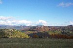 Location loz&egrave;re
